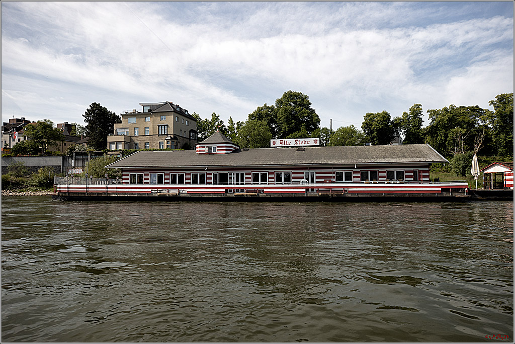 100 Jahre Rheinwoche 2022 - 1. Wettfahrt Porz - Hitdorf, 03.06.2022,
